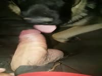 A quick lick